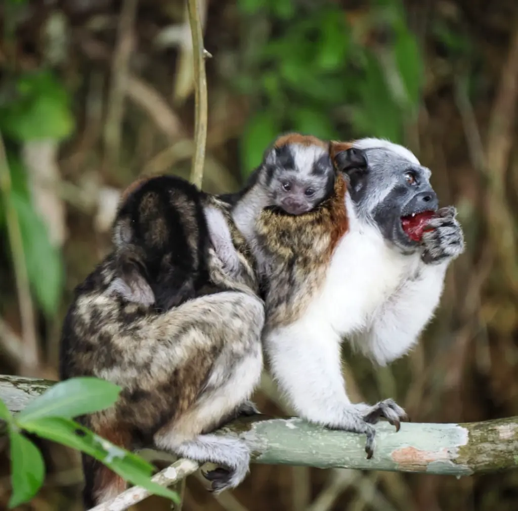 WhatsApp Image 2025-06-17 at 2.56.57 PM.webp