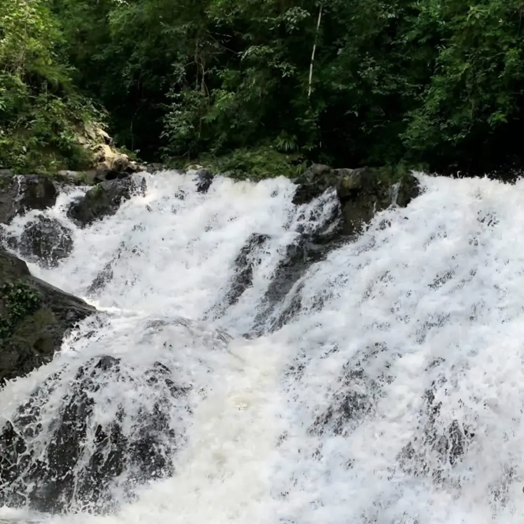 WhatsApp Image 2025-08-21 at 4.27.19 PM.webp