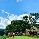 WhatsApp Image 2025-08-21 at 4.27.33 PM.webp