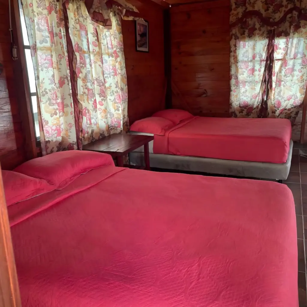 WhatsApp Image 2025-08-21 at 4.27.15 PM.webp