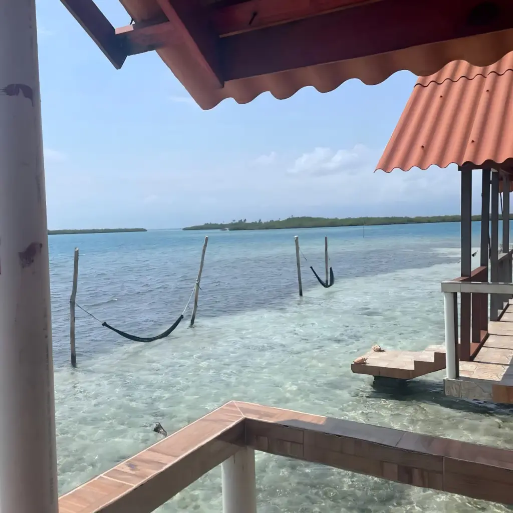 WhatsApp Image 2025-08-21 at 4.27.12 PM (1).webp