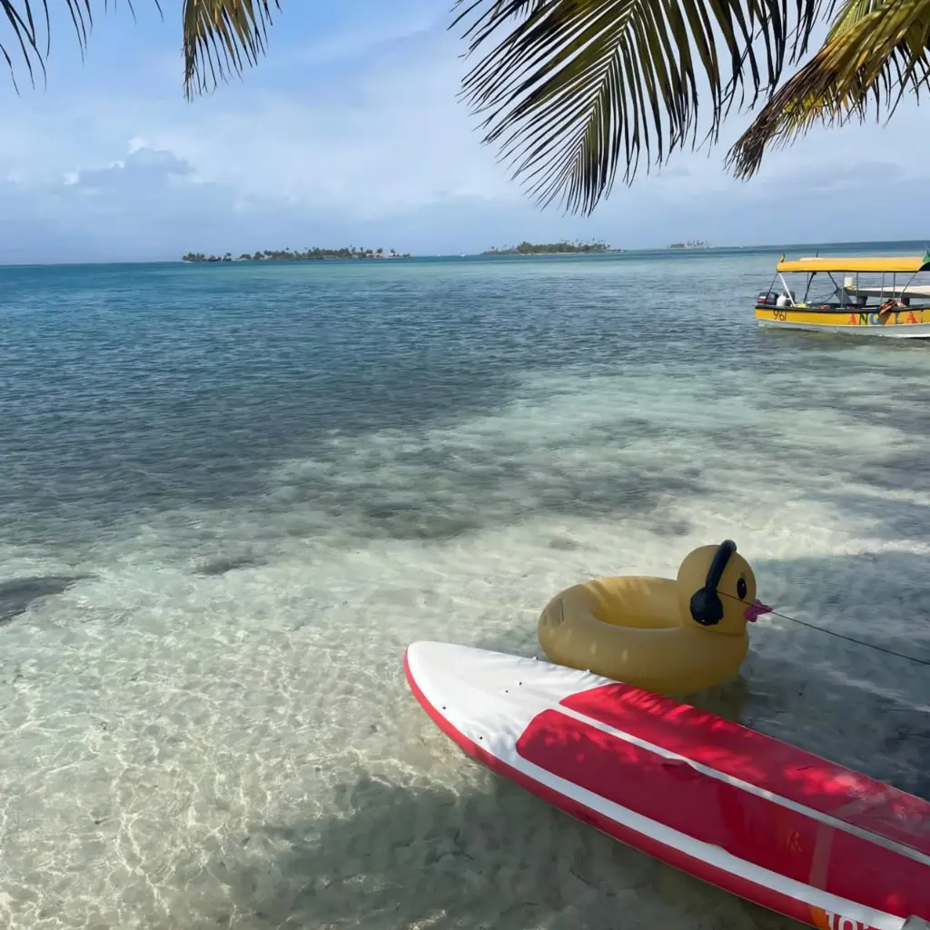 WhatsApp Image 2025-08-21 at 4.27.14 PM.webp