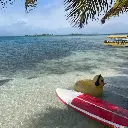 WhatsApp Image 2025-08-21 at 4.27.14 PM.webp