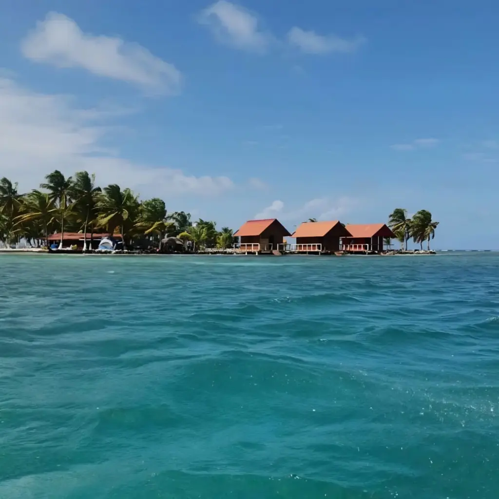 WhatsApp Image 2025-08-21 at 4.27.14 PM (1).webp