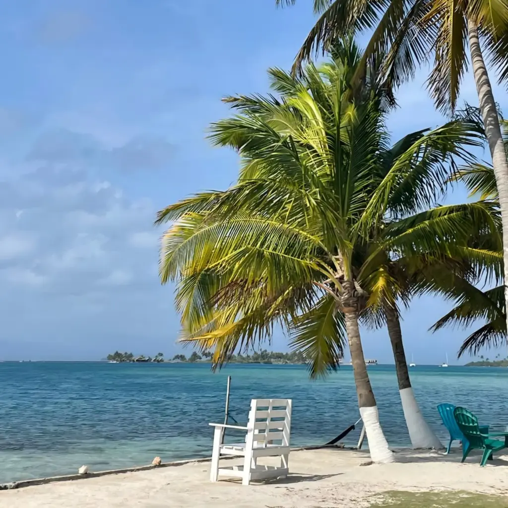 WhatsApp Image 2025-08-21 at 4.27.12 PM.webp