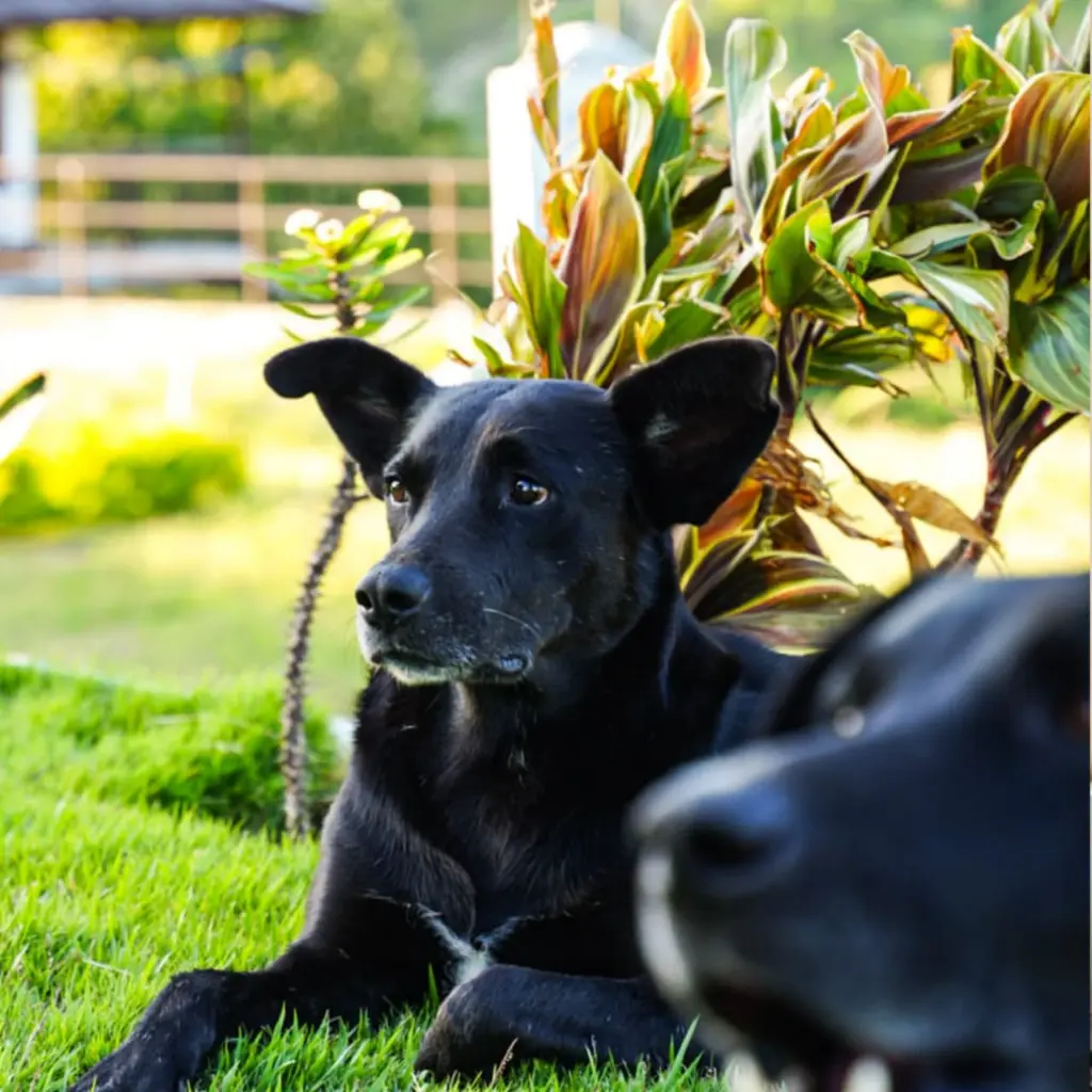 WhatsApp Image 2025-08-22 at 12.27.03 PM.webp