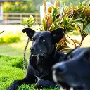 WhatsApp Image 2025-08-22 at 12.27.03 PM.webp