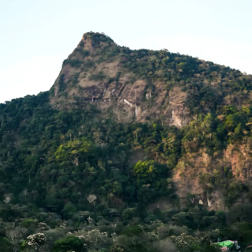 WhatsApp Image 2025-08-22 at 12.27.02 PM.webp