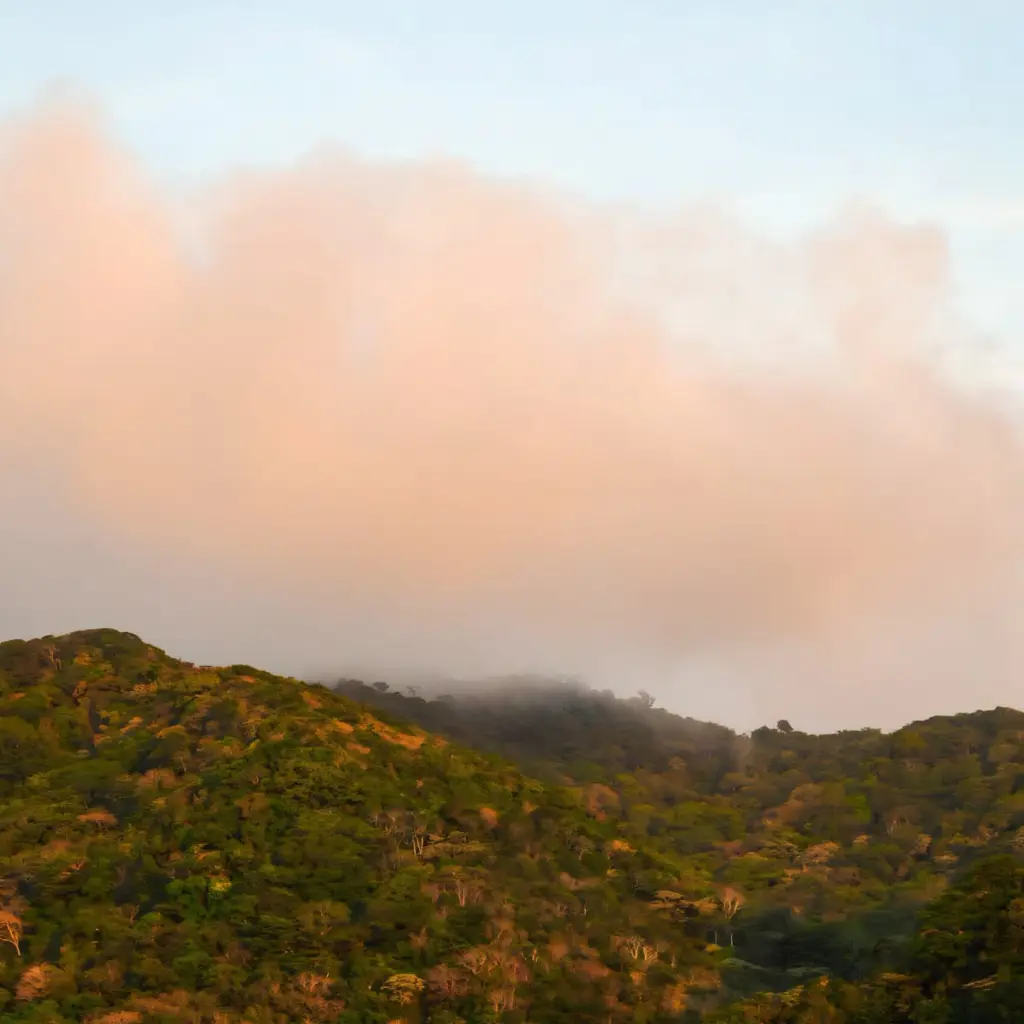 WhatsApp Image 2025-08-22 at 12.26.59 PM.webp