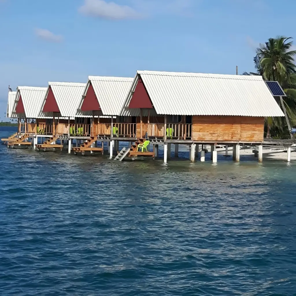 WhatsApp Image 2025-08-26 at 2.25.26 PM.webp