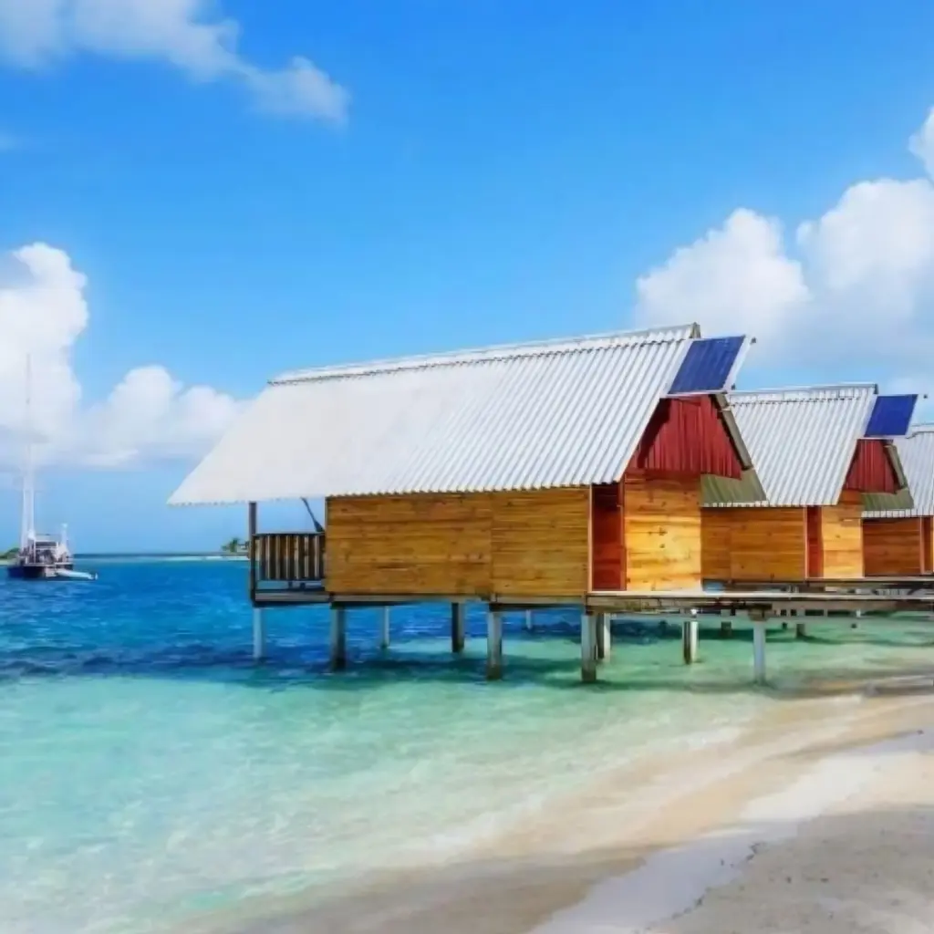 WhatsApp Image 2025-08-26 at 2.25.25 PM.webp