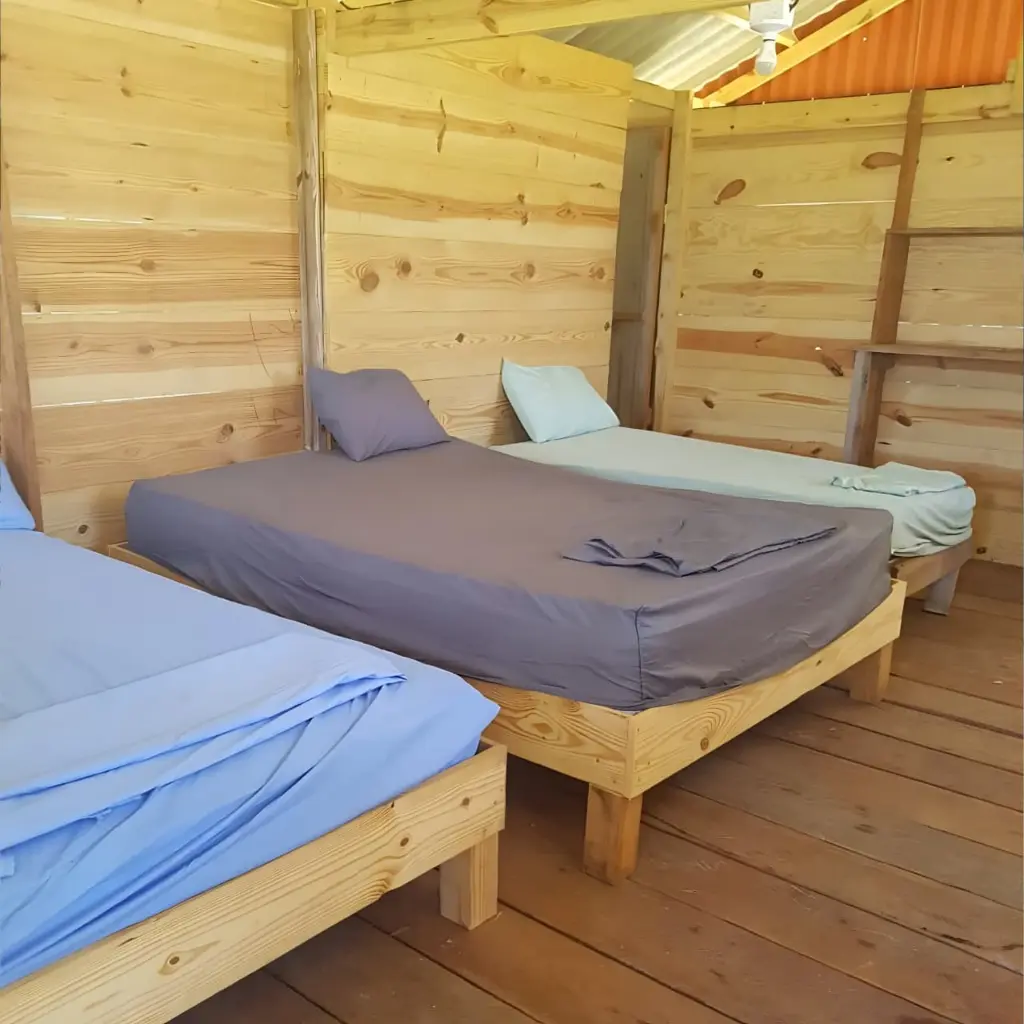 WhatsApp Image 2025-08-26 at 2.31.27 PM.webp