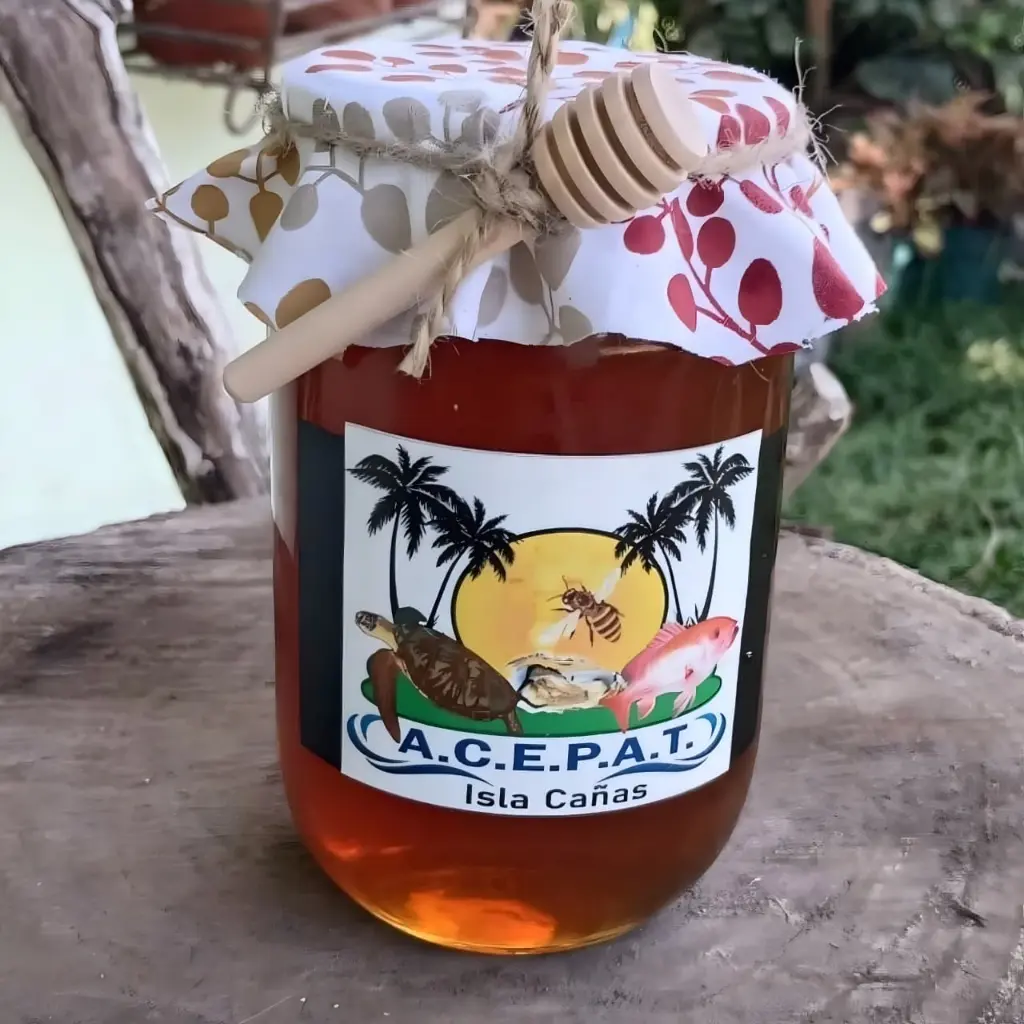 WhatsApp Image 2025-08-29 at 1.15.46 PM.webp