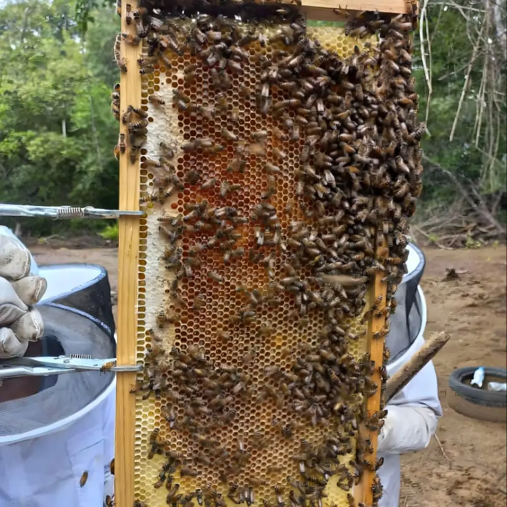 WhatsApp Image 2025-08-29 at 1.15.50 PM.webp