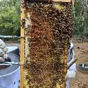 WhatsApp Image 2025-08-29 at 1.15.50 PM.webp