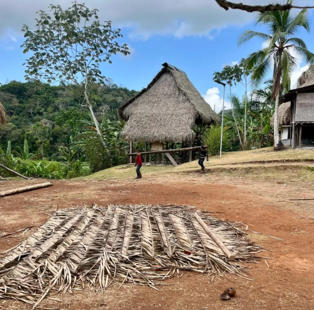 WhatsApp Image 2025-06-17 at 3.29.41 PM (2).webp