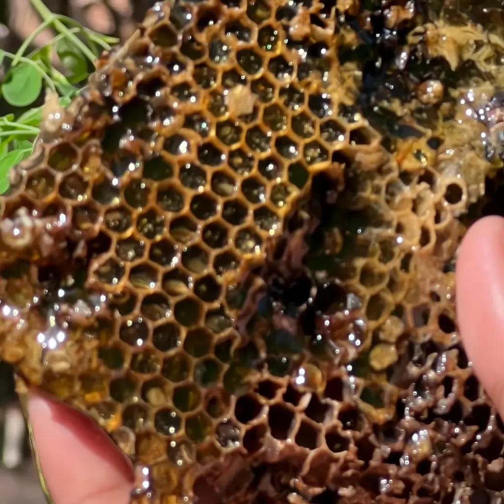 WhatsApp Image 2025-08-29 at 1.15.47 PM.webp