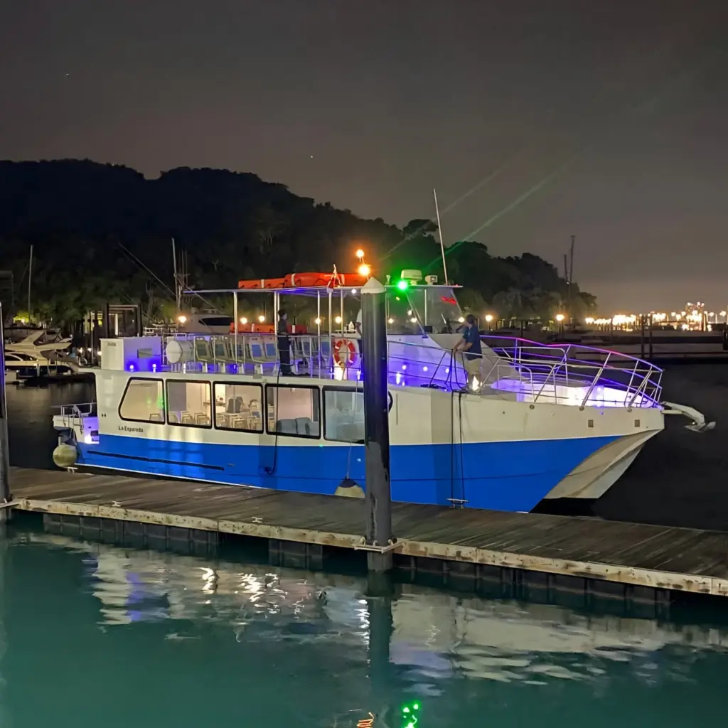 WhatsApp Image 2025-08-31 at 1.34.04 AM (1).webp