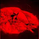 WhatsApp Image 2025-08-31 at 1.25.44 AM.webp