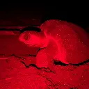 WhatsApp Image 2025-08-31 at 1.25.45 AM.webp