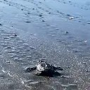 WhatsApp Image 2025-08-31 at 1.25.42 AM.webp