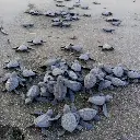 WhatsApp Image 2025-08-31 at 1.25.50 AM.webp