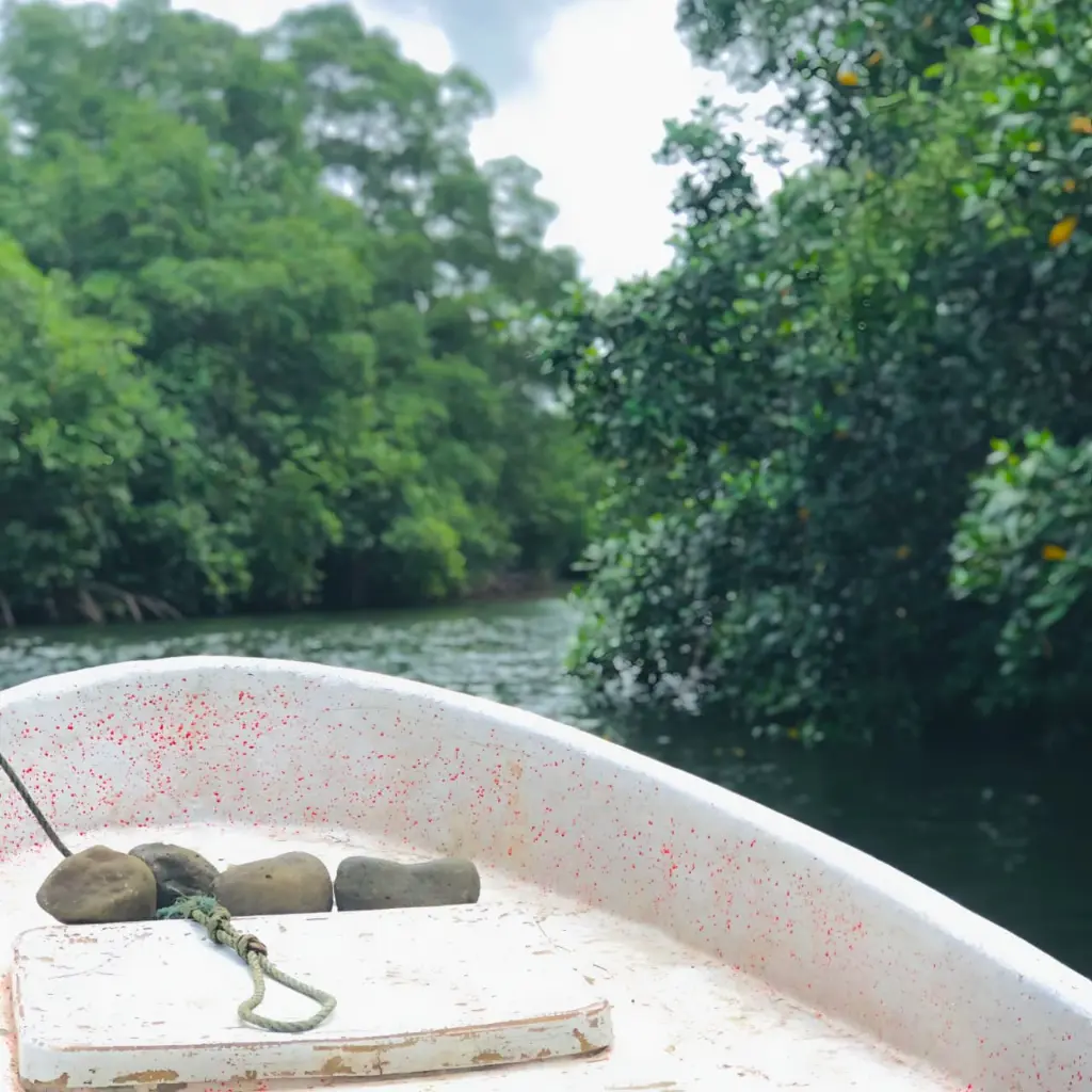 WhatsApp Image 2025-08-31 at 6.29.40 PM.webp