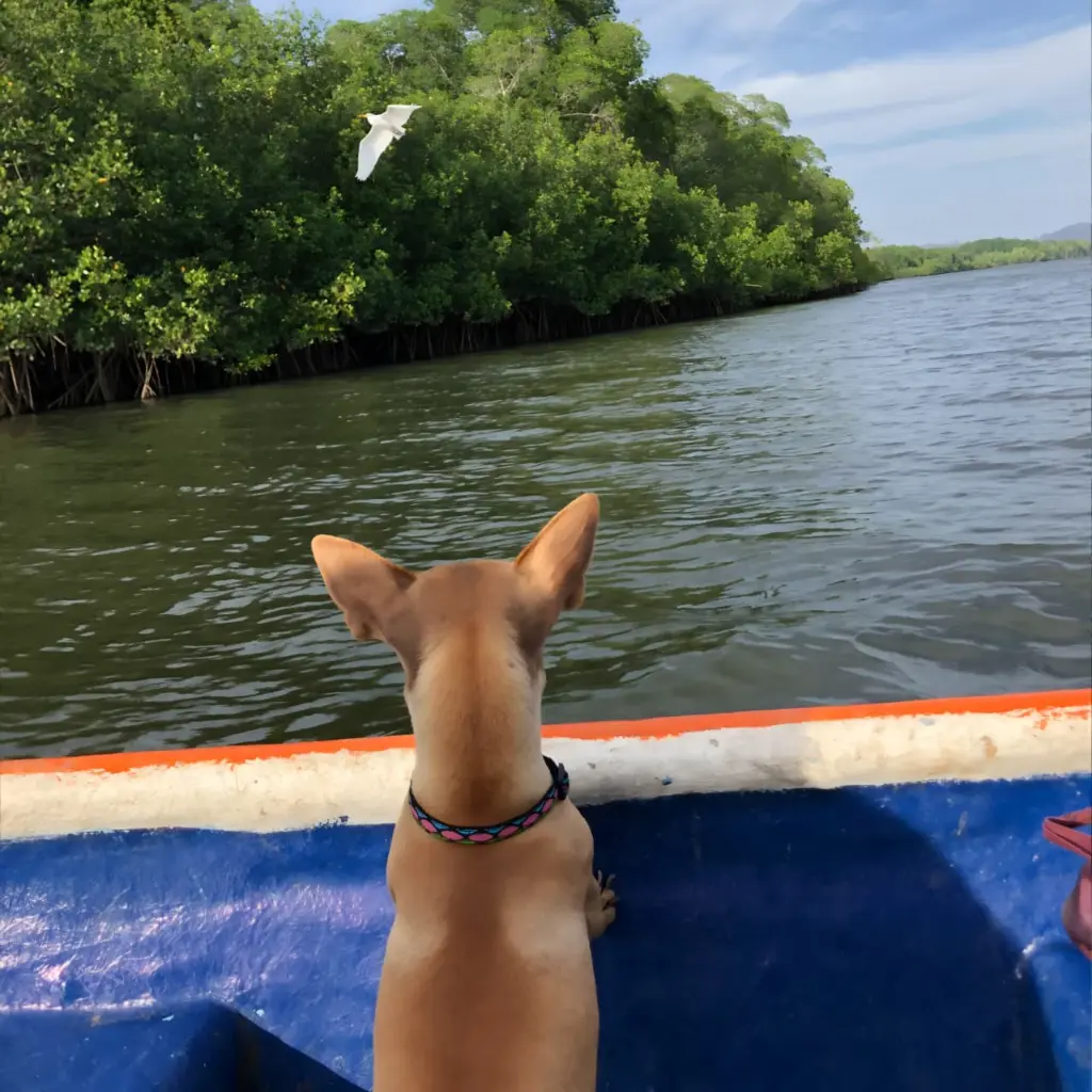 WhatsApp Image 2025-08-31 at 6.29.42 PM.webp