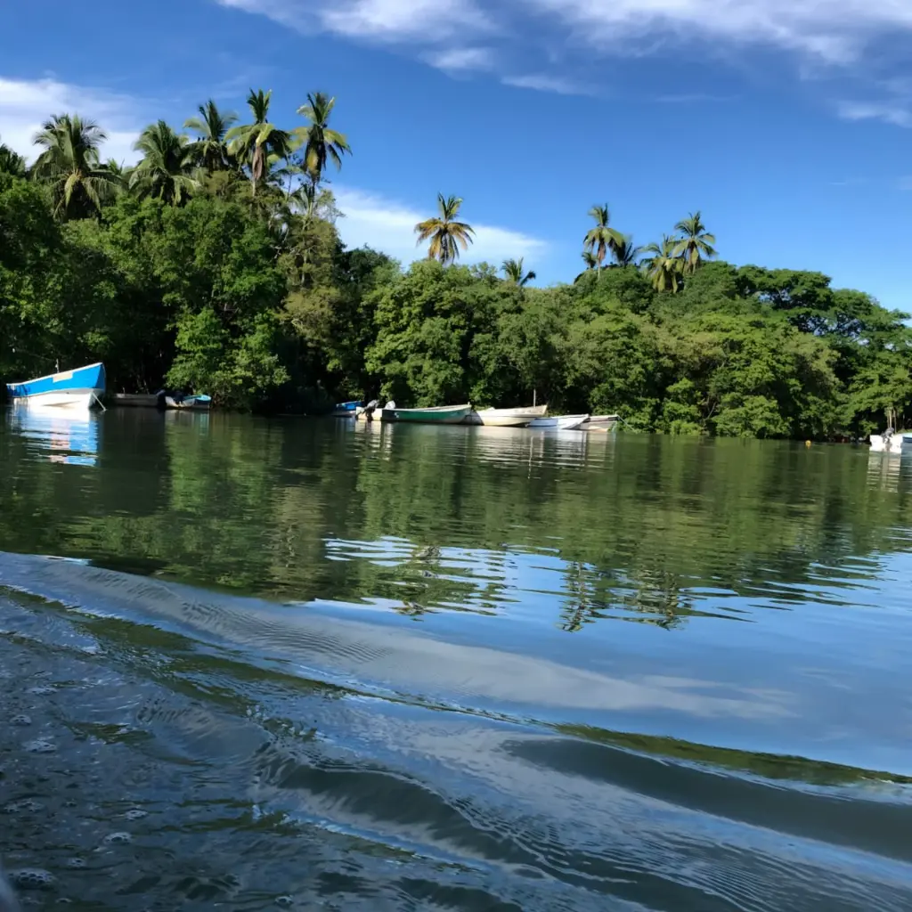 WhatsApp Image 2025-08-31 at 6.29.41 PM.webp