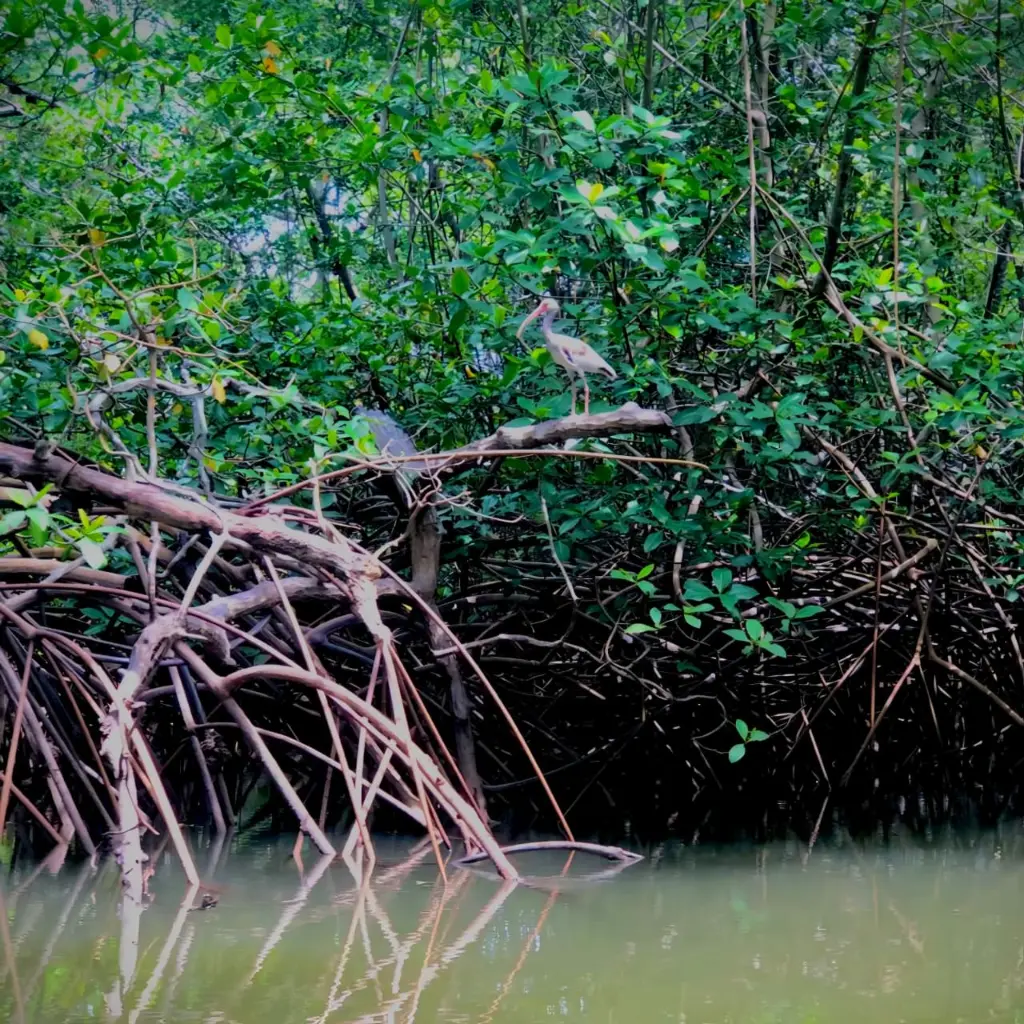 WhatsApp Image 2025-08-31 at 6.29.43 PM.webp