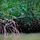 WhatsApp Image 2025-08-31 at 6.29.43 PM.webp