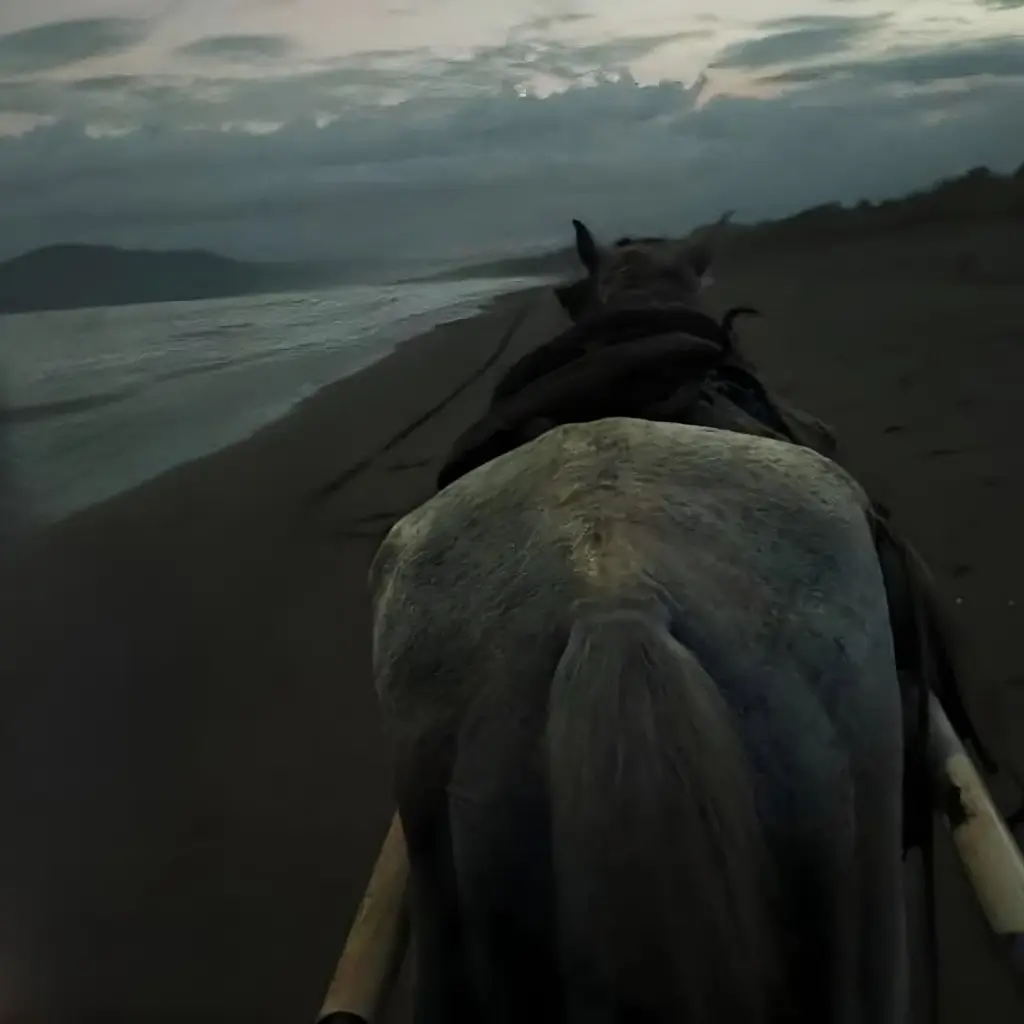 WhatsApp Image 2025-08-31 at 9.04.25 PM (2).webp