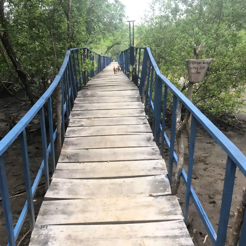 WhatsApp Image 2025-08-31 at 9.04.22 PM.webp