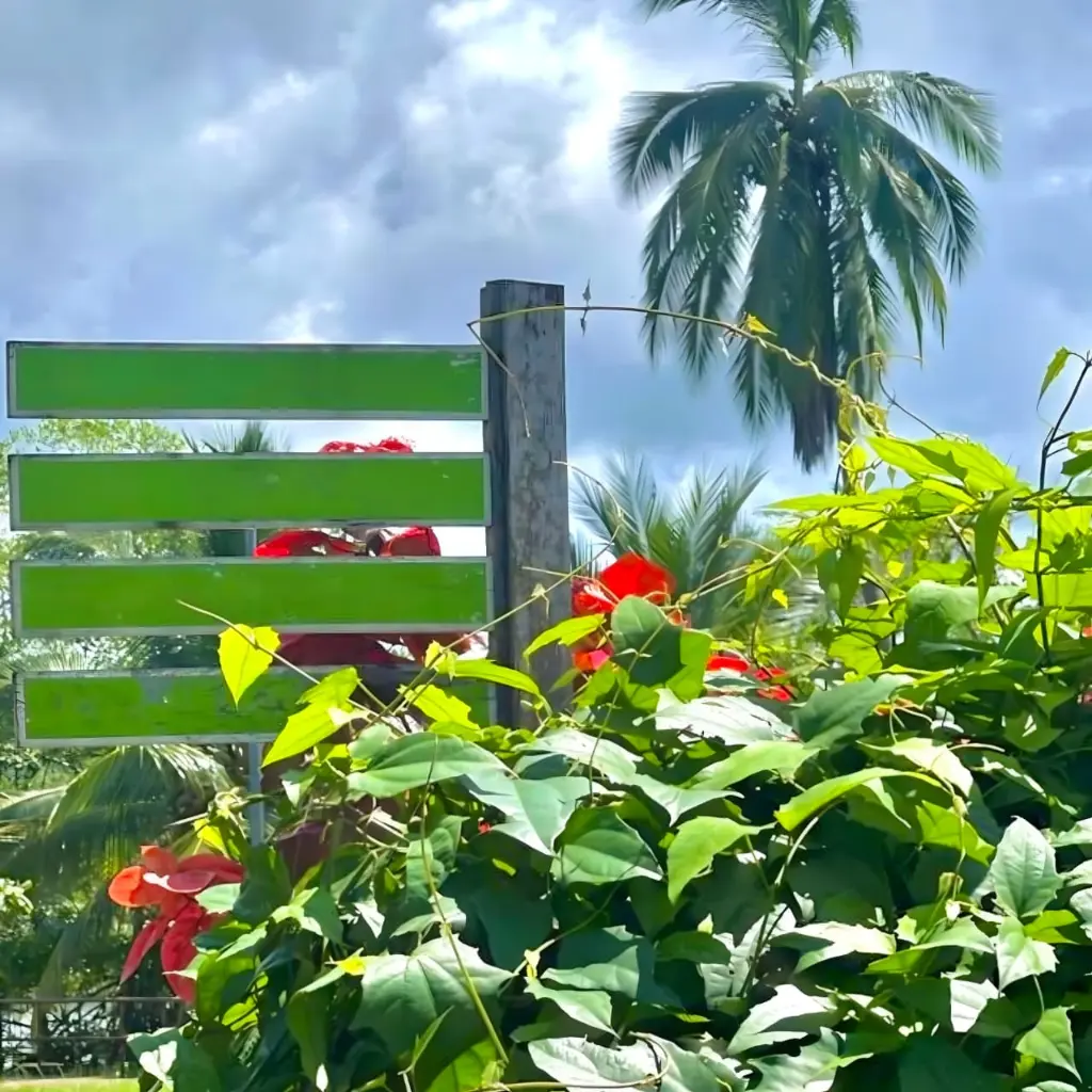 WhatsApp Image 2025-08-31 at 9.04.25 PM.webp