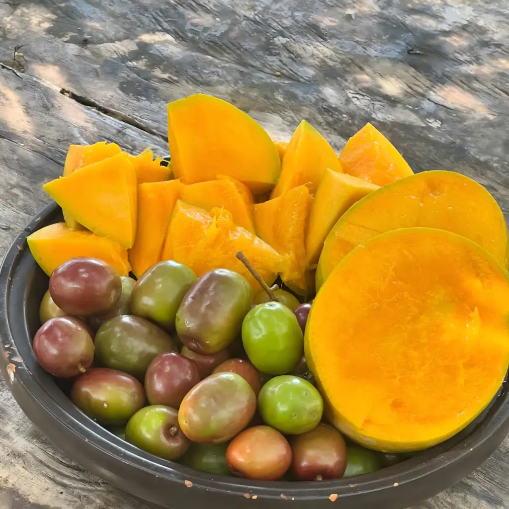 WhatsApp Image 2025-08-31 at 9.04.21 PM (1).webp