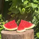 WhatsApp Image 2025-08-31 at 9.04.25 PM (1).webp