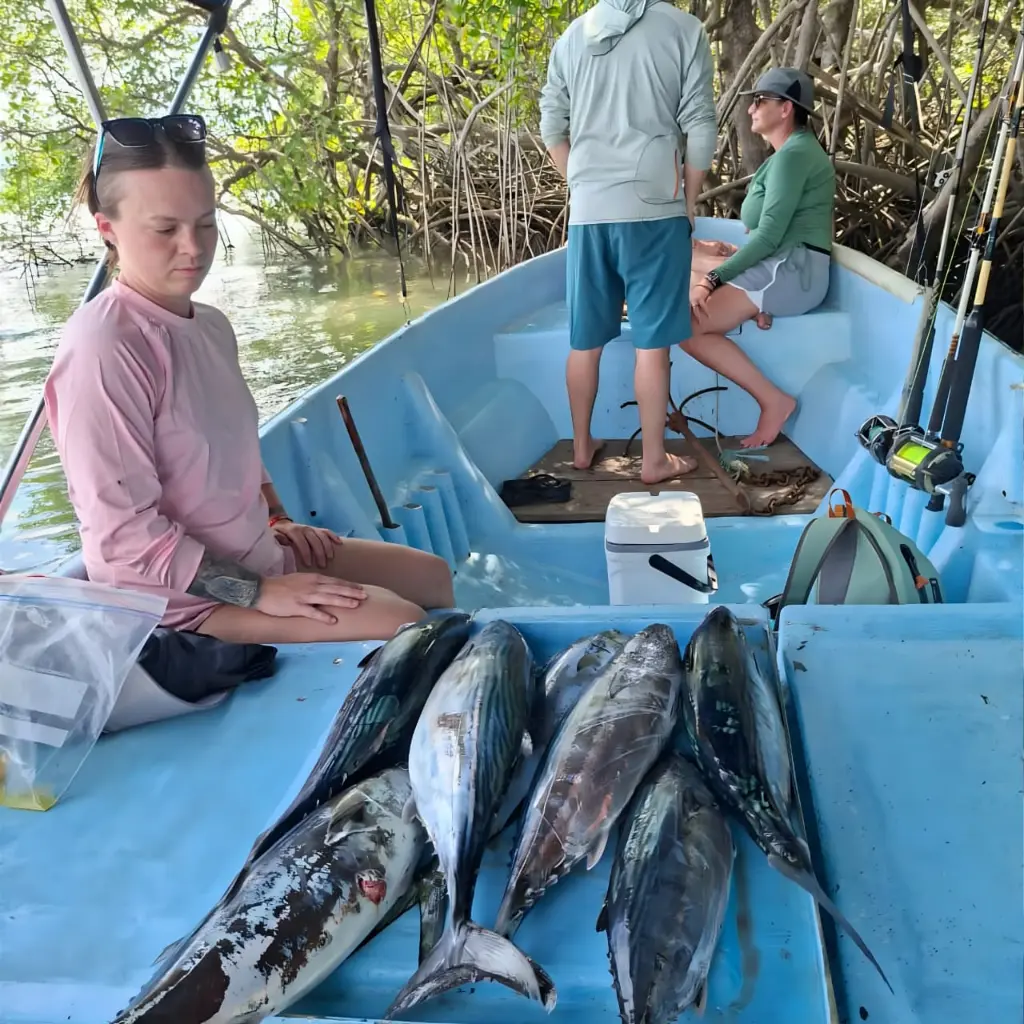 WhatsApp Image 2025-09-01 at 2.35.06 AM.webp