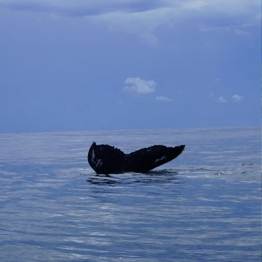 WhatsApp Image 2025-09-01 at 2.35.07 AM.webp