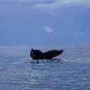 WhatsApp Image 2025-09-01 at 2.35.07 AM.webp