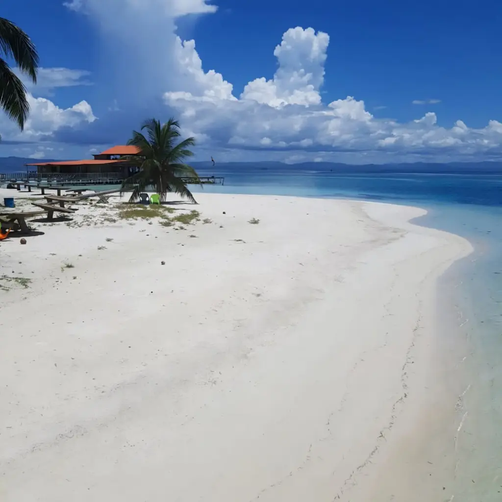 WhatsApp Image 2025-08-26 at 2.26.55 PM.webp