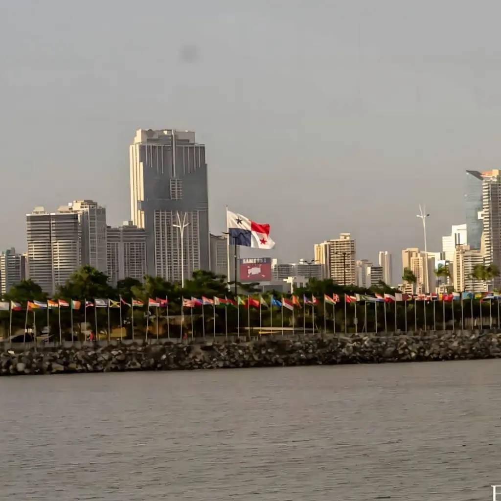 WhatsApp Image 2025-09-05 at 1.27.02 PM.webp