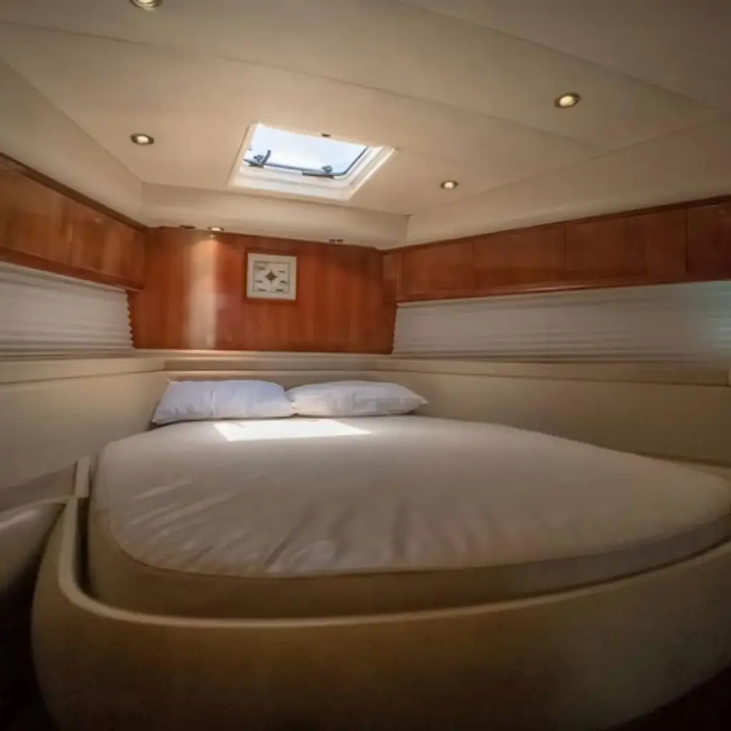 WhatsApp Image 2025-12-29 at 2.07.00 PM.webp