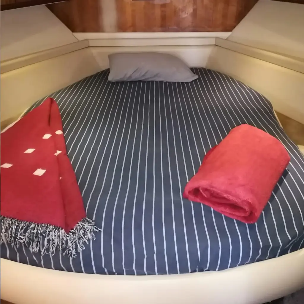 WhatsApp Image 2025-12-29 at 2.07.01 PM.webp