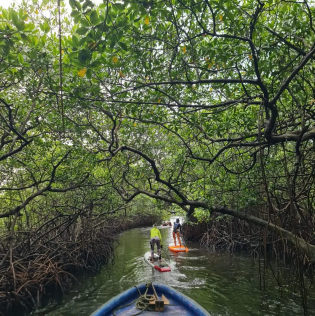 WhatsApp Image 2025-06-24 at 3.46.52 AM.webp