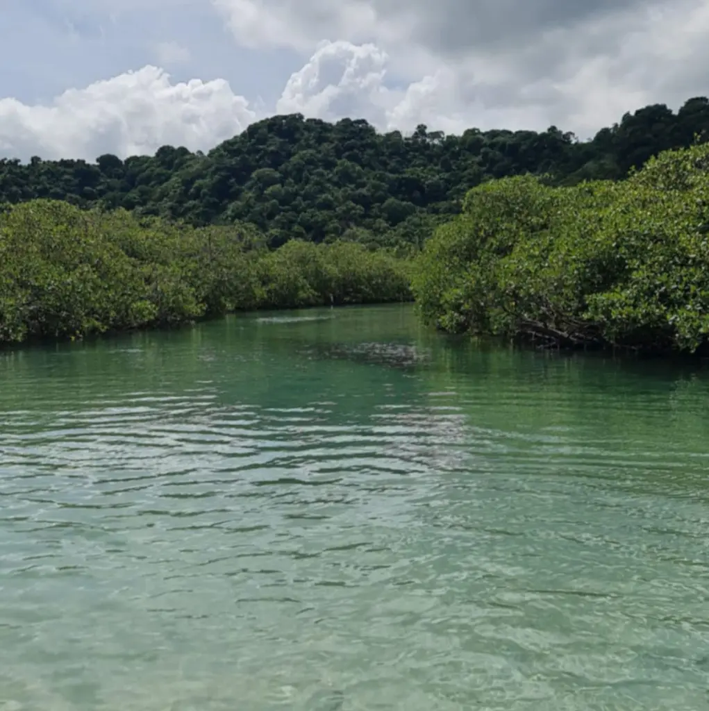 WhatsApp Image 2025-06-24 at 3.47.34 AM.webp