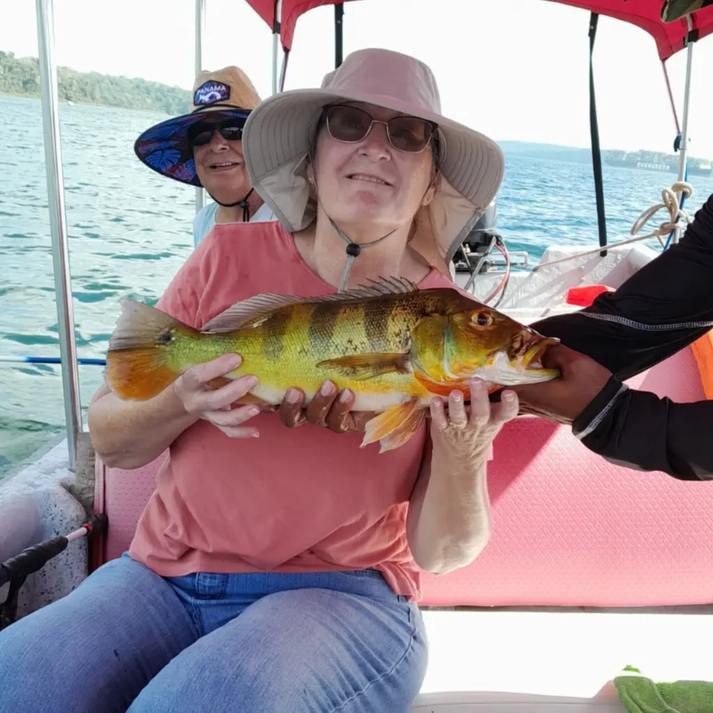 WhatsApp Image 2025-06-25 at 10.27.01 PM (1).webp