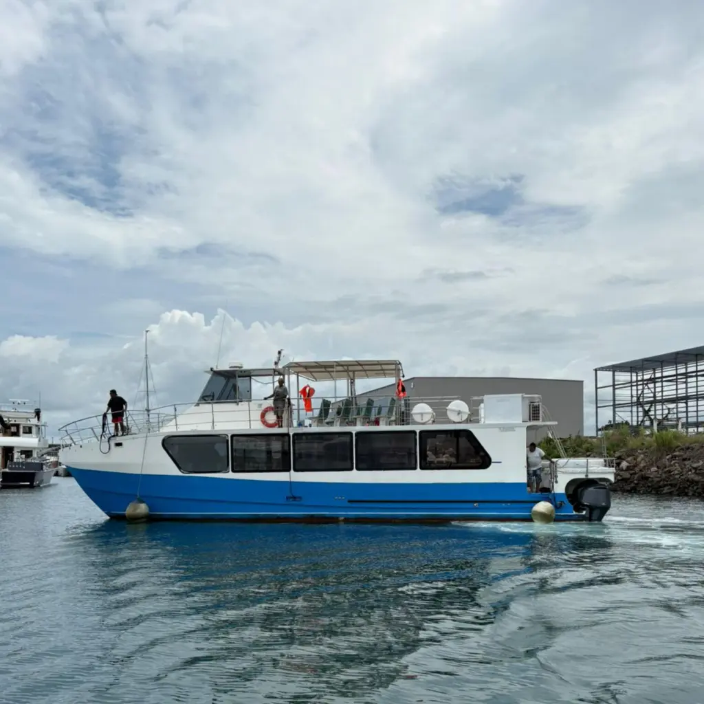 WhatsApp Image 2025-06-27 at 2.50.53 AM.webp