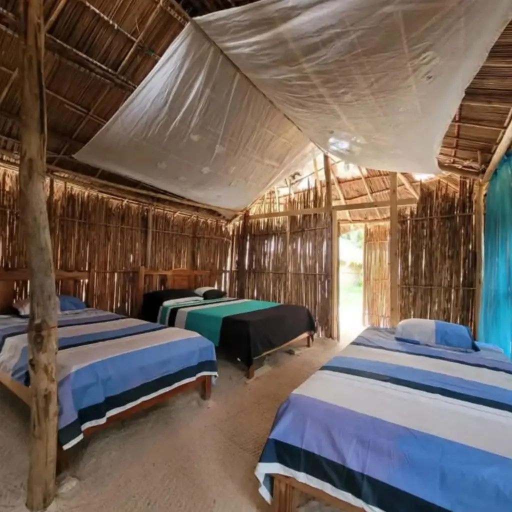 WhatsApp Image 2025-07-07 at 10.46.45 PM.webp