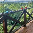 WhatsApp Image 2025-07-15 at 8.05.16 AM.webp